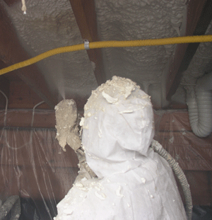  NE crawl space insulation